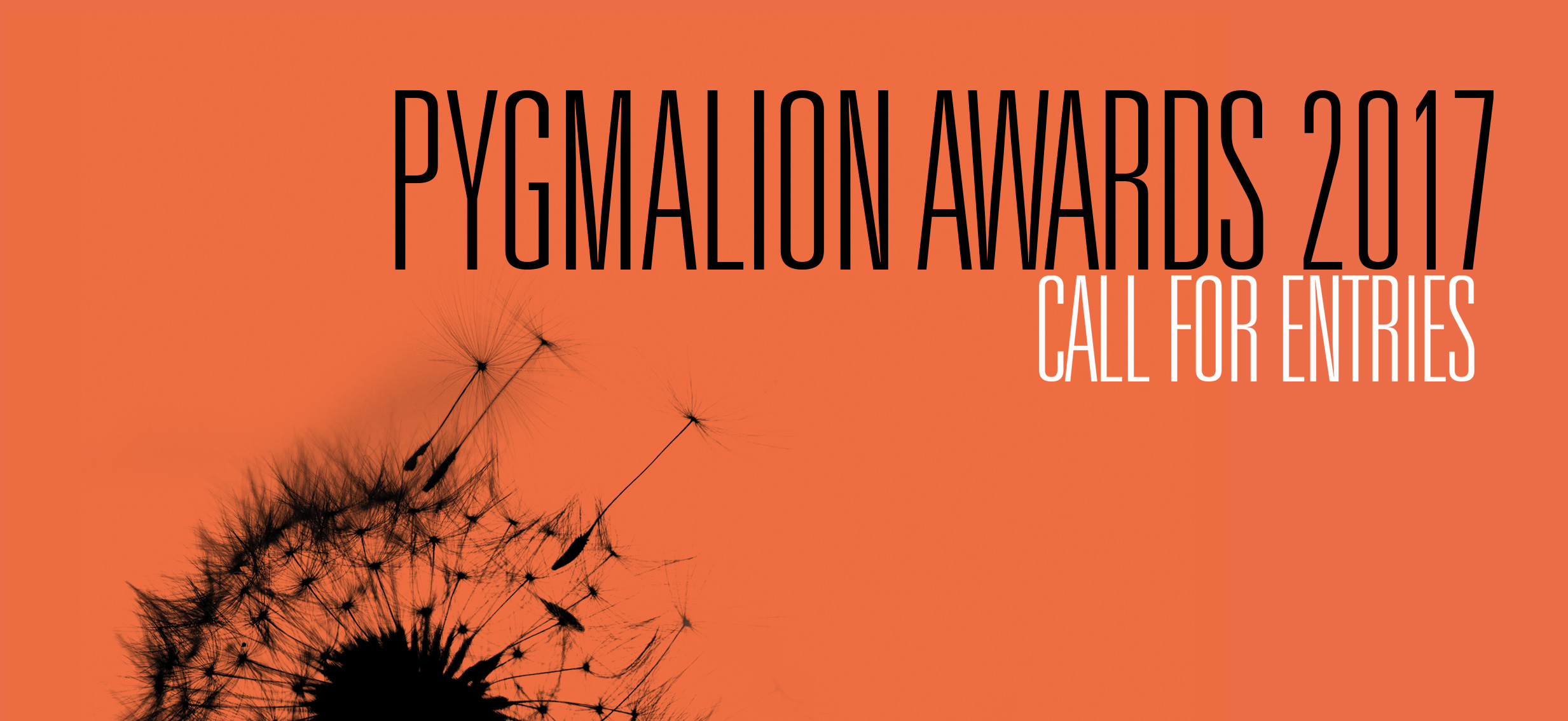 PYGMALION AWARDS 2017
