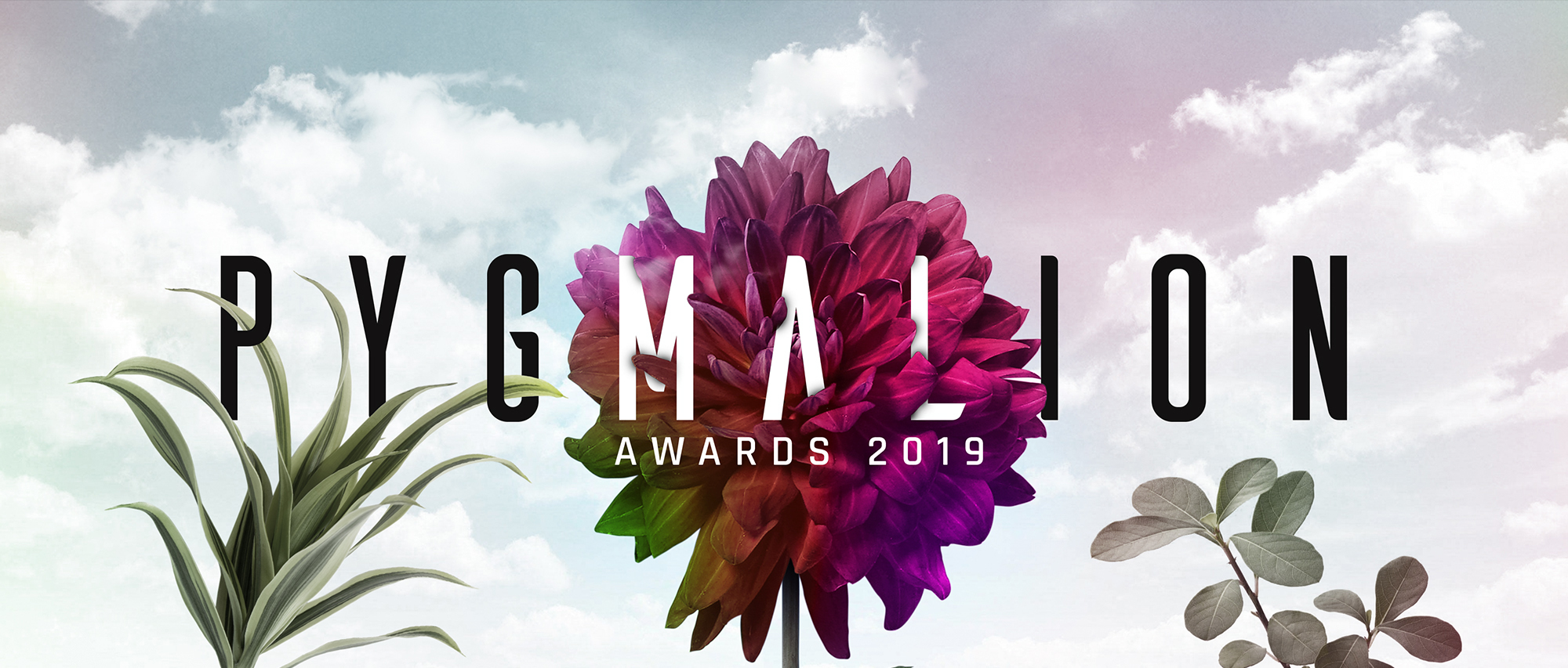 PYGMALION 2019 Call for Entries